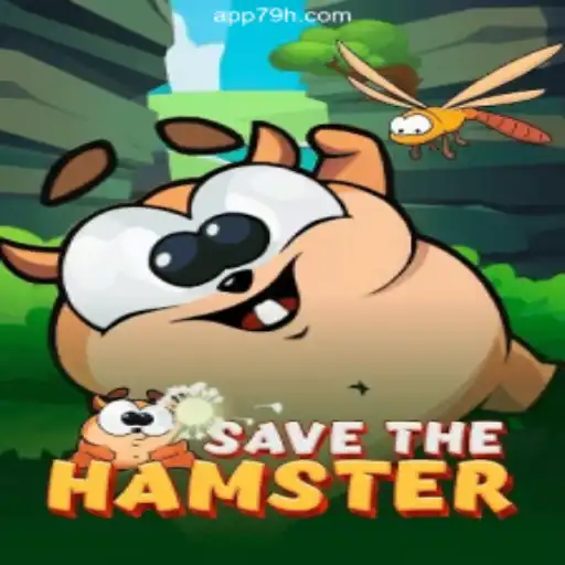 Discover the Thrilling World of SavetheHamster on 79H.COM Platform-Oficial Slots Brasil #1